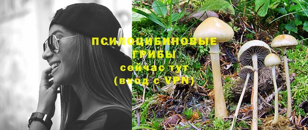круглые Надым